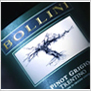 Bollini