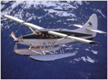 Misty Fjords Seaplane Adventure