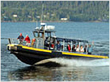 Neets Bay Bear Cruise