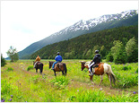 Horseback Riding Adventure