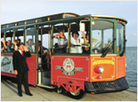 Old Town Trolley Tour