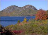 Best of Acadia National Park & Mount Desert Island