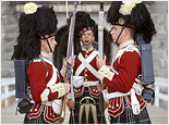Historic Halifax City Tour