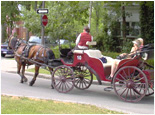 Old Quebec Walk & Horse Carriage Tour