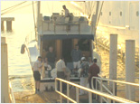 Sport Fishing
