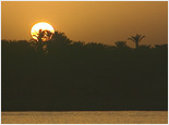 Sunset Sail Away
