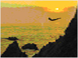 Night Cliff Divers