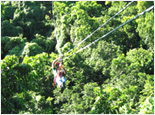 Antigua Canopy & Challenge