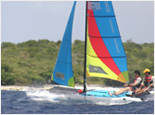 Cat Sailing & Beach Break