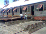West Coast Nutmeg Plantation