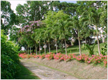 Sunny Side Gardens