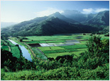 Hanalei & Bali Ha'i
