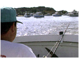 Manzanillo Sport Fishing