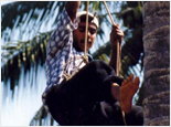 Discovery Tour & Plantations