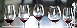 Riedel Wine Glass Comparative Workshop - familycruisediscounts.com