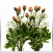 Roses Dual Bud Vase