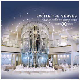 Excite The Senses