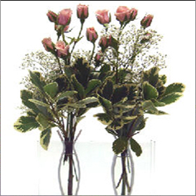 Roses Dual Bud Vase