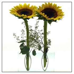 Seasonal Dual Bud Vase