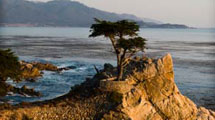 Pacific Coastal