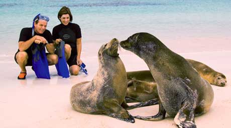 Galapagos Promo Image