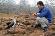 Face-to-face with a Blue-footed Booby