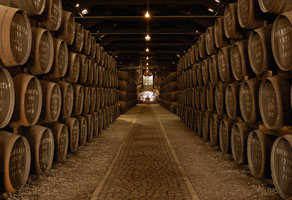 Spirits, Cellars & More