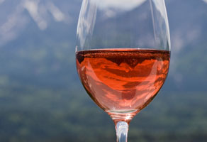Blush Wines