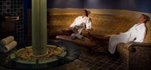 The Persian Garden