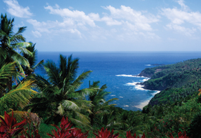 Caribbean Cruise Special