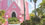 Pink Church