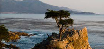 Pacific Coastal