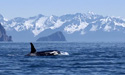 Alaska