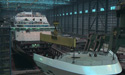 Celebrity Reflection
