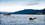Alaskan coast whale watching