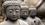 Terra Cotta Warriors