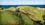 Sheep grazing the New Zealand countryside