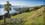Dunedin, New Zealand