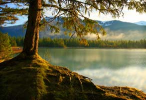Canada & New England Cruises