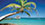 Caribbean Palm Tree