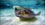 George Town, Grand Cayman