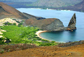 Galapagos Cruises