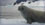 Schollart Channel, Antartica