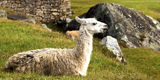 Celebrity Cruises South America vacation