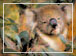 Australia & New Zealand Itineraries