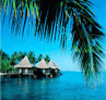 celebrity_cruise_hawaii_and_tahiti.gif