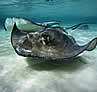 George Town, Grand Cayman