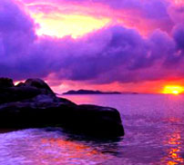 Cruise the Caribbean from $599