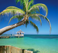 View Other Special Offers