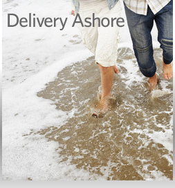 Delivery Ashore
